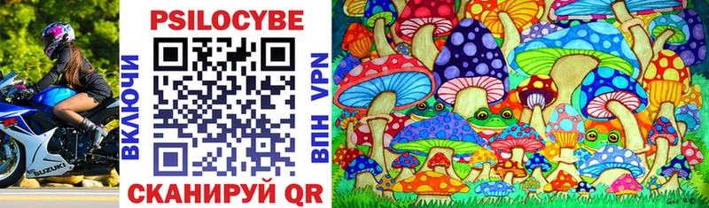 Купить где  Староминская  Галлюциногенные грибы Magic Shrooms 