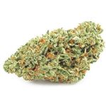 Шишки OG Kush  (Гидропоника, бошки) VHQ в Староминской